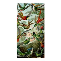 Humming Birds Trochilidae Shower Curtain 36  X 72  (stall) 