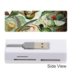 Humming Birds Trochilidae Memory Card Reader (stick) by Pakjumat