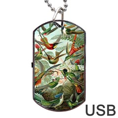 Humming Birds Trochilidae Dog Tag Usb Flash (two Sides) by Pakjumat