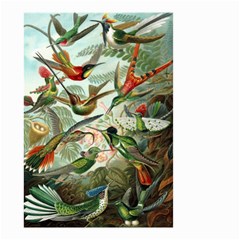 Humming Birds Trochilidae Small Garden Flag (two Sides) by Pakjumat