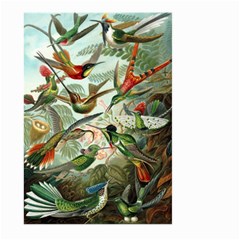 Humming Birds Trochilidae Large Garden Flag (two Sides) by Pakjumat