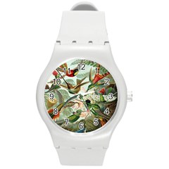 Humming Birds Trochilidae Round Plastic Sport Watch (m) by Pakjumat