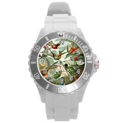 Humming Birds Trochilidae Round Plastic Sport Watch (l) by Pakjumat