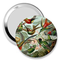 Humming Birds Trochilidae 3  Handbag Mirrors by Pakjumat