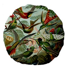 Humming Birds Trochilidae Large 18  Premium Round Cushions by Pakjumat