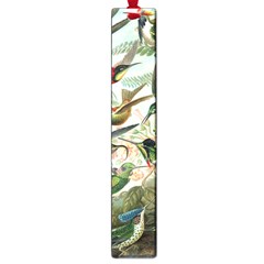 Humming Birds Trochilidae Large Book Marks by Pakjumat