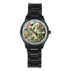 Humming Birds Trochilidae Stainless Steel Round Watch by Pakjumat