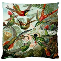 Humming Birds Trochilidae Large Premium Plush Fleece Cushion Case (two Sides) by Pakjumat