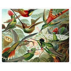 Humming Birds Trochilidae Two Sides Premium Plush Fleece Blanket (medium) by Pakjumat