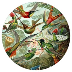 Humming Birds Trochilidae Round Trivet by Pakjumat