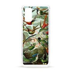 Humming Birds Trochilidae Samsung Galaxy S20 6 2 Inch Tpu Uv Case by Pakjumat