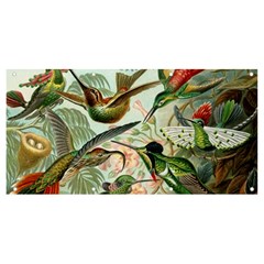 Humming Birds Trochilidae Banner And Sign 8  X 4  by Pakjumat