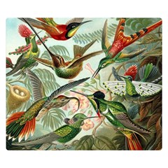 Humming Birds Trochilidae Premium Plush Fleece Blanket (small) by Pakjumat