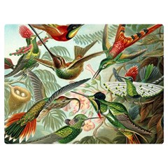 Humming Birds Trochilidae Two Sides Premium Plush Fleece Blanket (extra Small) by Pakjumat