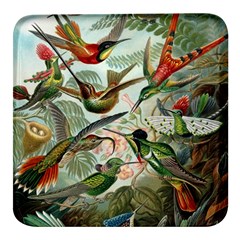 Humming Birds Trochilidae Square Glass Fridge Magnet (4 Pack) by Pakjumat