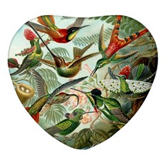 Humming Birds Trochilidae Heart Glass Fridge Magnet (4 Pack) by Pakjumat