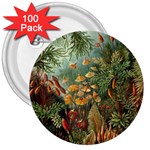 Moose Eurhynchium Haeckel Muscinae 3  Buttons (100 pack)  Front