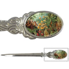 Moose Eurhynchium Haeckel Muscinae Letter Opener