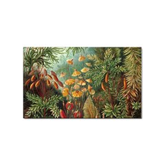 Moose Eurhynchium Haeckel Muscinae Sticker (Rectangular)