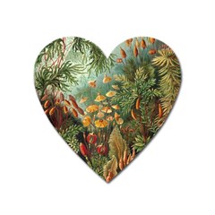 Moose Eurhynchium Haeckel Muscinae Heart Magnet