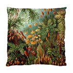 Moose Eurhynchium Haeckel Muscinae Standard Cushion Case (One Side) Front