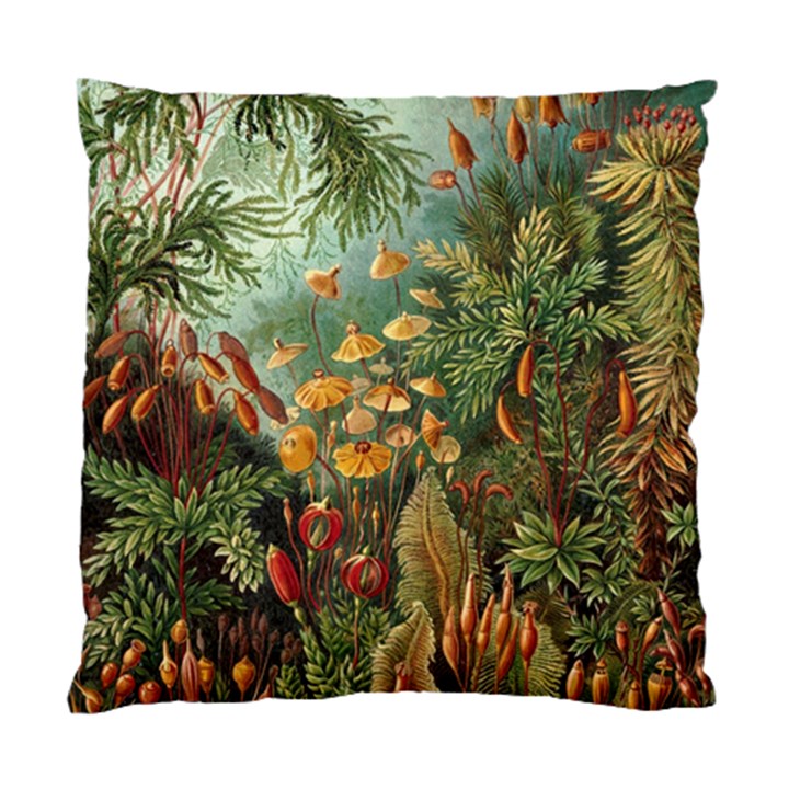 Moose Eurhynchium Haeckel Muscinae Standard Cushion Case (One Side)