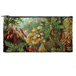 Moose Eurhynchium Haeckel Muscinae Pencil Case Front