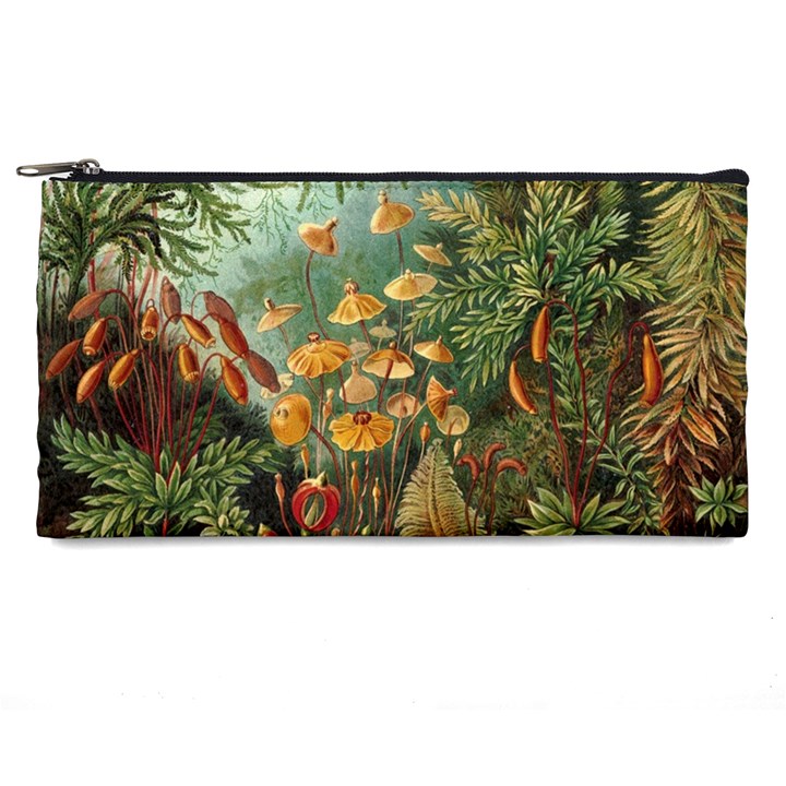 Moose Eurhynchium Haeckel Muscinae Pencil Case