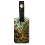 Moose Eurhynchium Haeckel Muscinae Luggage Tag (one side) Front