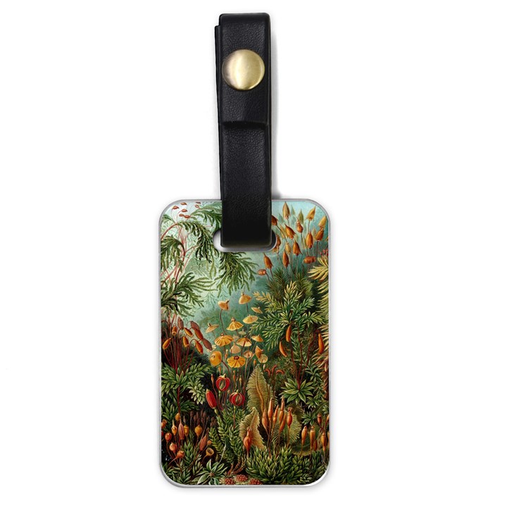 Moose Eurhynchium Haeckel Muscinae Luggage Tag (one side)