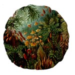 Moose Eurhynchium Haeckel Muscinae Large 18  Premium Round Cushions Front