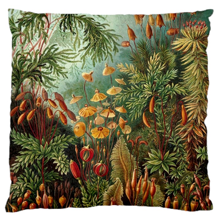 Moose Eurhynchium Haeckel Muscinae Standard Premium Plush Fleece Cushion Case (One Side)