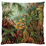 Moose Eurhynchium Haeckel Muscinae Standard Premium Plush Fleece Cushion Case (Two Sides) Front