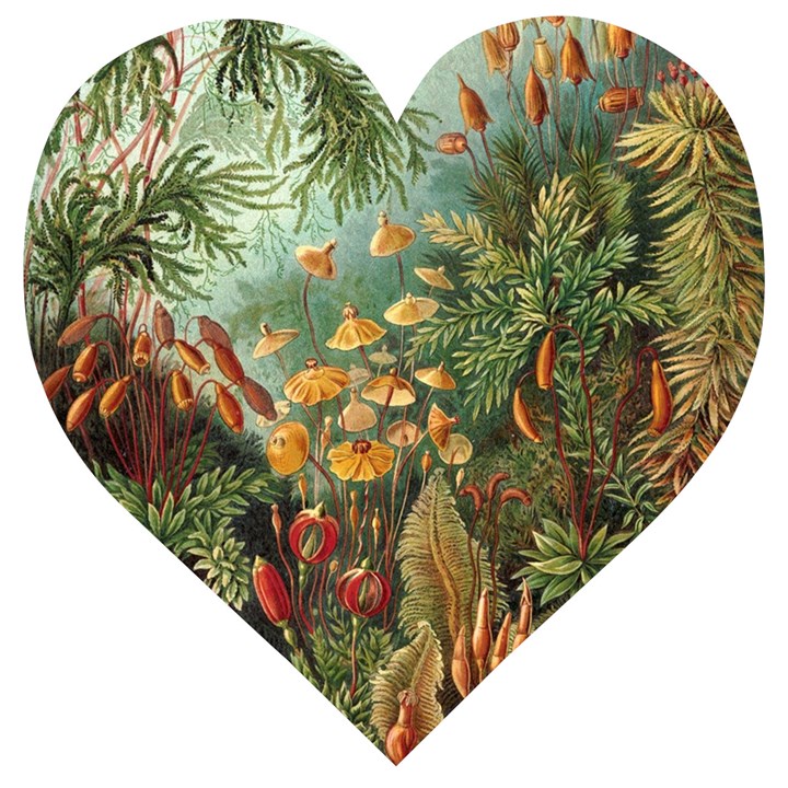 Moose Eurhynchium Haeckel Muscinae Wooden Puzzle Heart