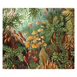 Moose Eurhynchium Haeckel Muscinae Premium Plush Fleece Blanket (Small) 50 x40  Blanket Front