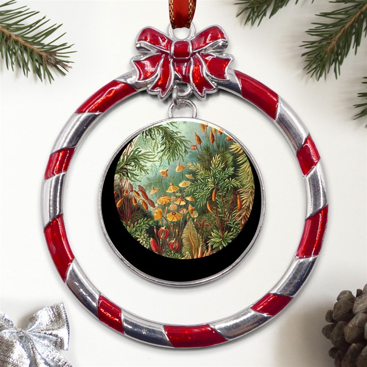 Moose Eurhynchium Haeckel Muscinae Metal Red Ribbon Round Ornament