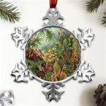 Moose Eurhynchium Haeckel Muscinae Metal Small Snowflake Ornament Front