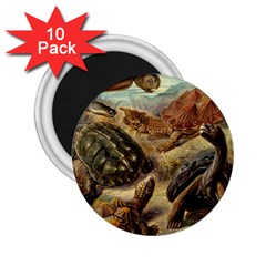 Turtles Leatherback Sea Turtle 2 25  Magnets (10 Pack)  by Pakjumat