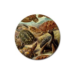 Turtles Leatherback Sea Turtle Magnet 3  (round) by Pakjumat