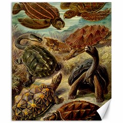 Turtles Leatherback Sea Turtle Canvas 8  X 10  by Pakjumat