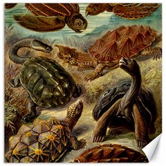 Turtles Leatherback Sea Turtle Canvas 12  X 12  by Pakjumat