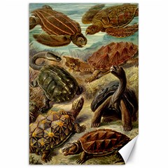 Turtles Leatherback Sea Turtle Canvas 20  X 30  by Pakjumat