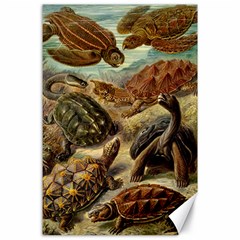 Turtles Leatherback Sea Turtle Canvas 24  X 36  by Pakjumat