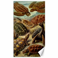 Turtles Leatherback Sea Turtle Canvas 40  X 72  by Pakjumat