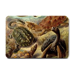 Turtles Leatherback Sea Turtle Small Doormat by Pakjumat