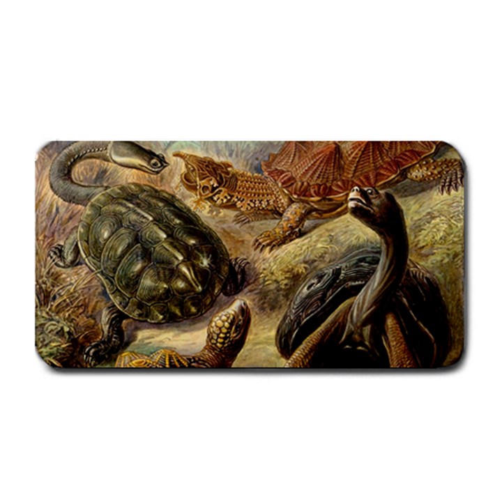 Turtles Leatherback Sea Turtle Medium Bar Mat