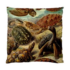 Turtles Leatherback Sea Turtle Standard Cushion Case (two Sides)