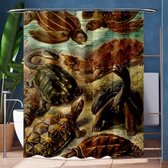 Turtles Leatherback Sea Turtle Shower Curtain 60  X 72  (medium)  by Pakjumat