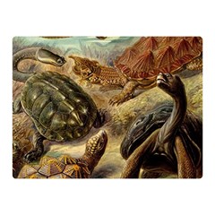 Turtles Leatherback Sea Turtle Two Sides Premium Plush Fleece Blanket (mini) by Pakjumat