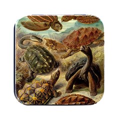 Turtles Leatherback Sea Turtle Square Metal Box (black) by Pakjumat